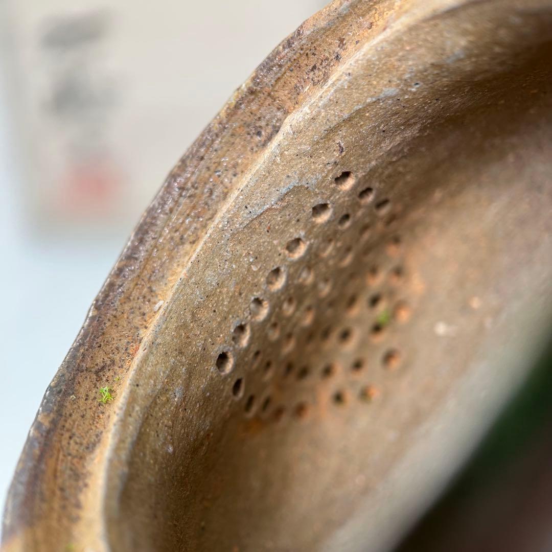 D佐藤苔助 備前焼宝瓶 うさぎ手捻り人気作者 急須共箱 共布 茶注 煎茶 茶道具