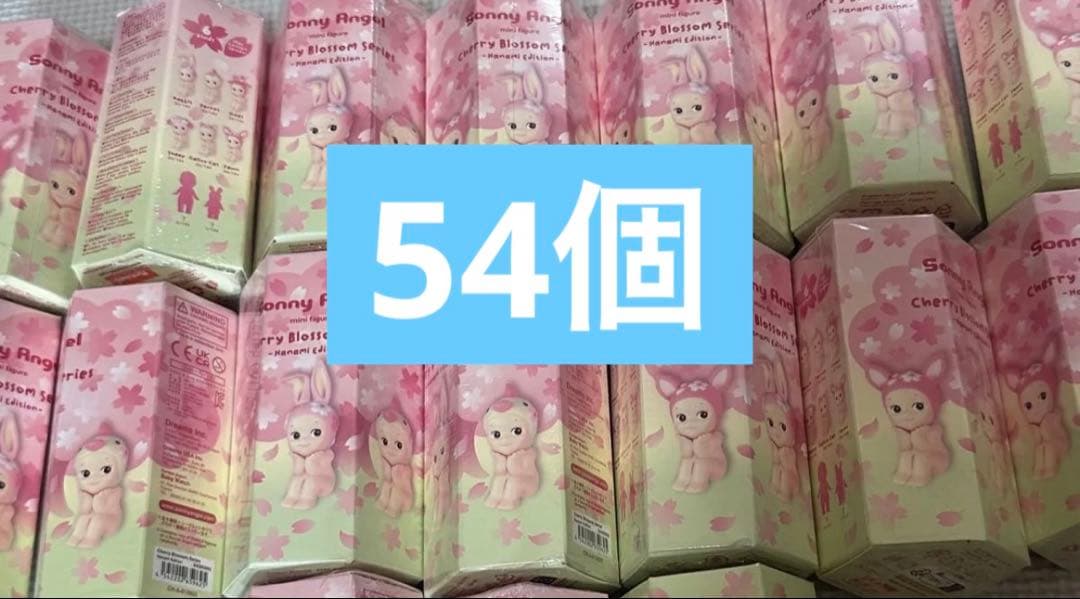 ソニーエンジェル　花見　ハナミ　hanami 桜　さくら　チェリーブロッサム