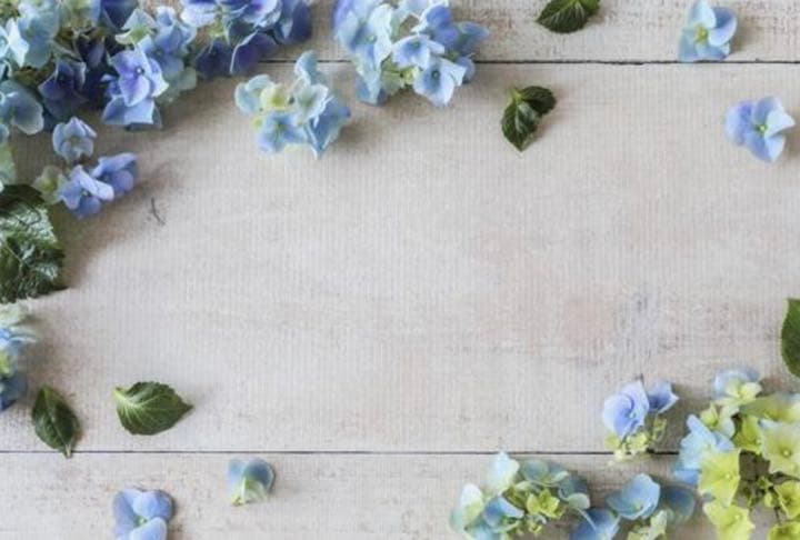 W1659.一木一横 慕斯的甜梦 ロールシール