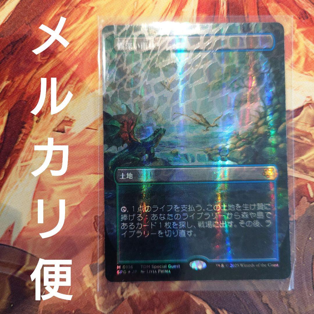 MTG　霧深い雨林　日本語版　ドラゴンスケイル