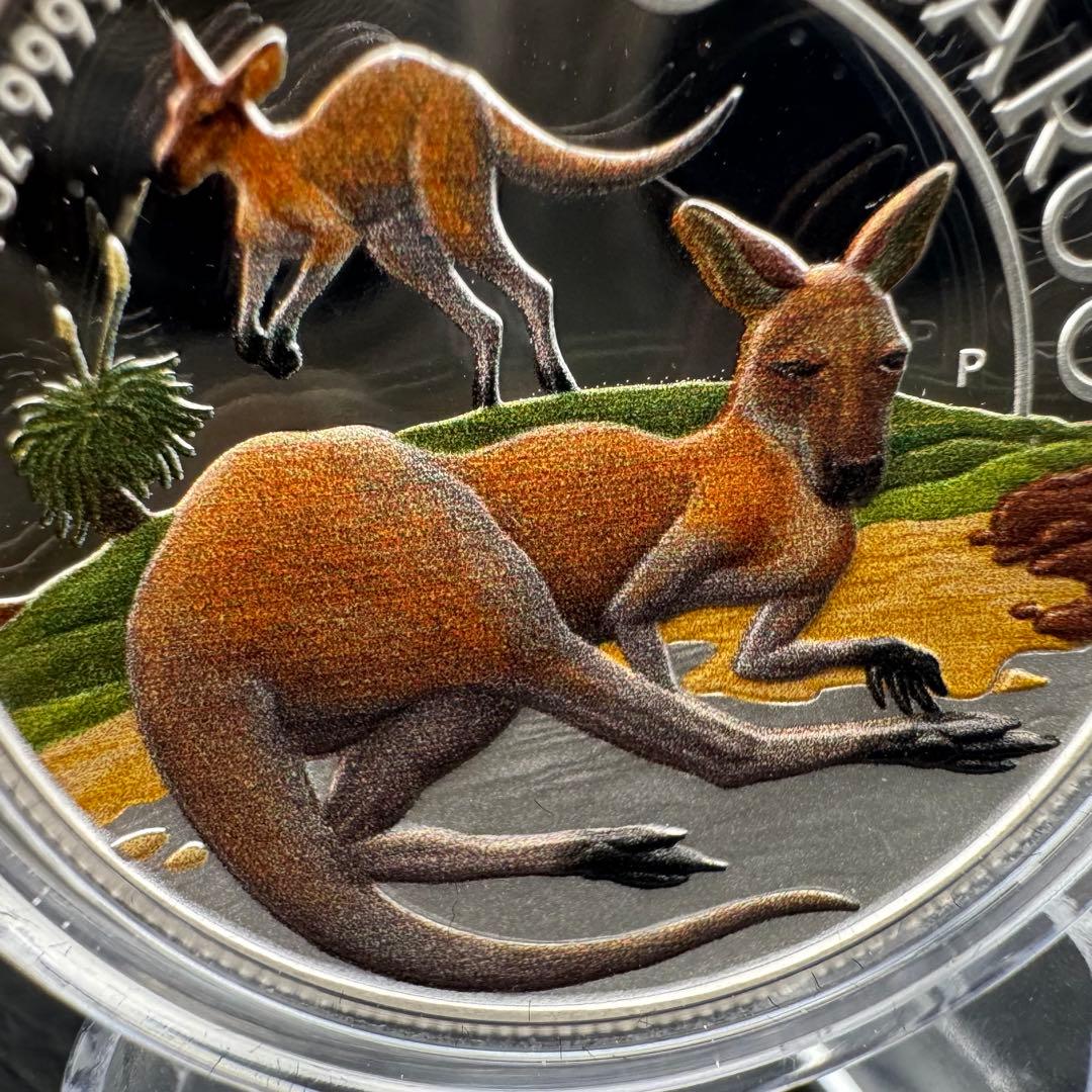 銀貨 ダブルカンガルー ハイリーフ 凹型 極厚銀貨 カラー プルーフ 純銀