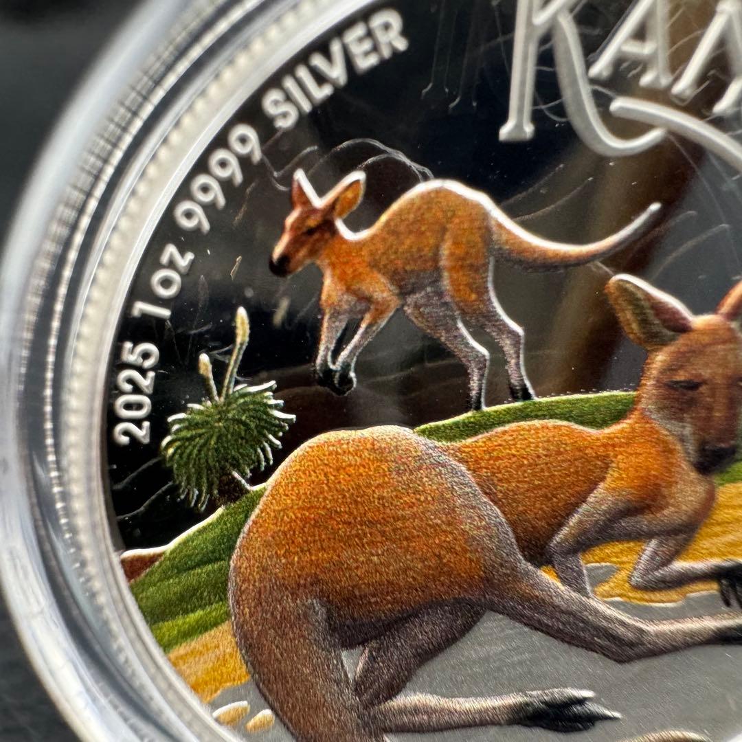 銀貨 ダブルカンガルー ハイリーフ 凹型 極厚銀貨 カラー プルーフ 純銀