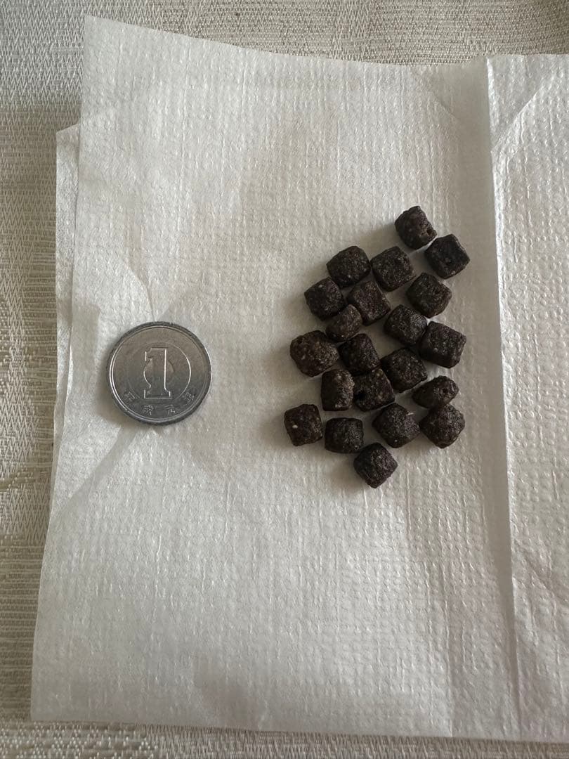 ELMO サーモン・ライス 3kg×2袋　ドライフード