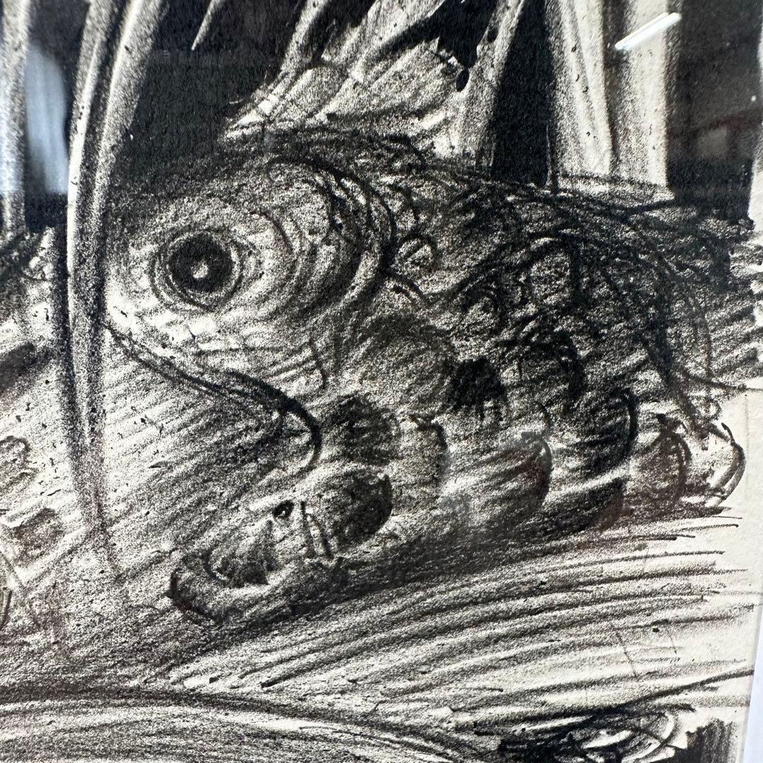 2190様感謝‼️幻想の絵師‼️天野喜孝「月夜」鉛筆直筆署名リトグラフ➕特大パンフ