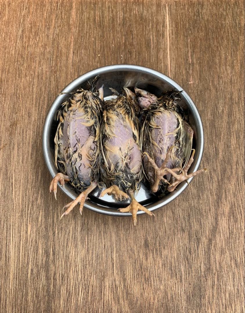 冷凍ウズラ5kg×6段【送料込】