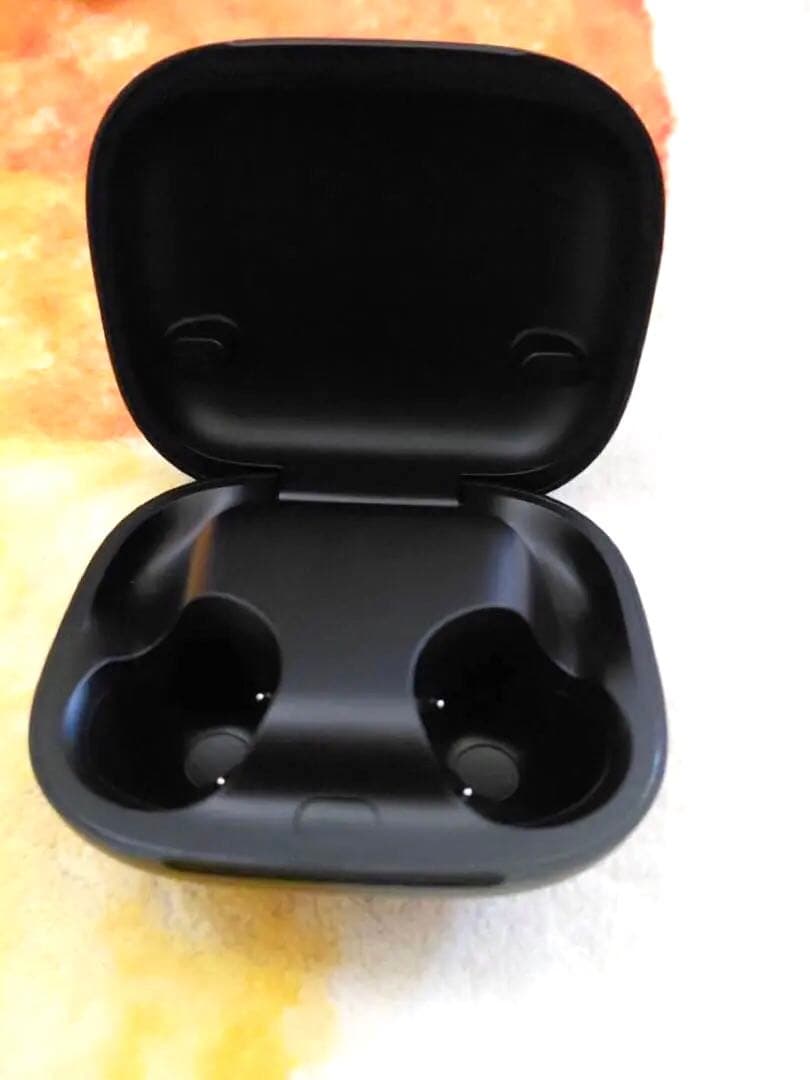 ヤマカイPowerbeats Pro 2 ブラック 充電ケースのみ