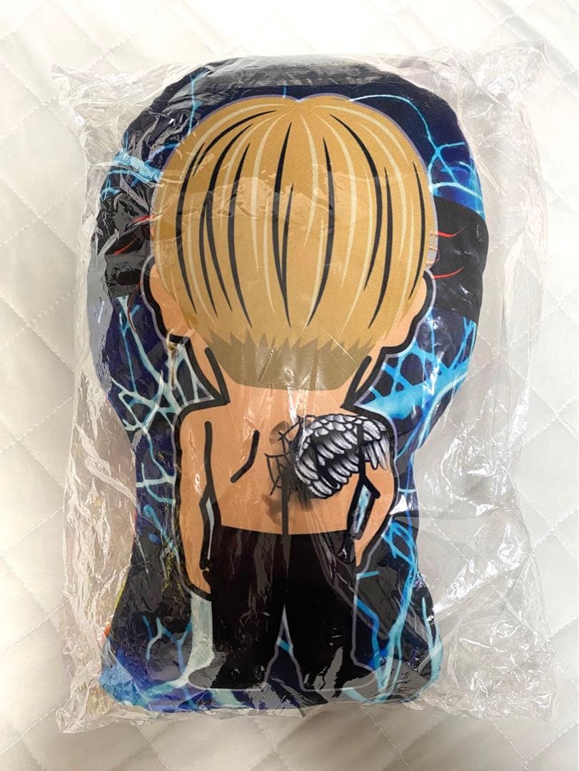 【出回り無し】長谷川慎 クッション fears 背面 後ろ姿 レア シクレ