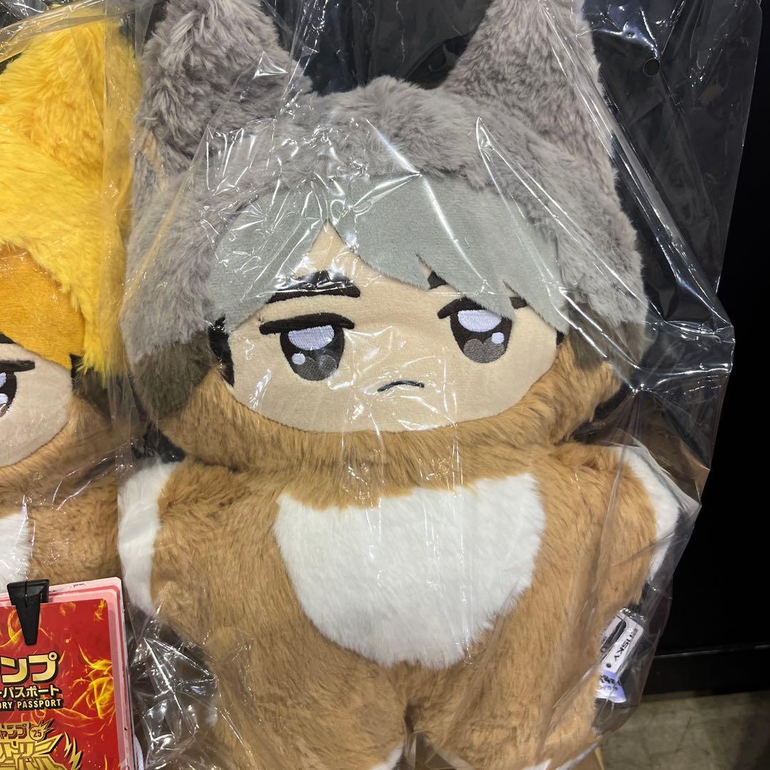 ジャンプフェスタ　2026 ハイキュー　ちょいでかちみけもますこっと　宮侑　宮治