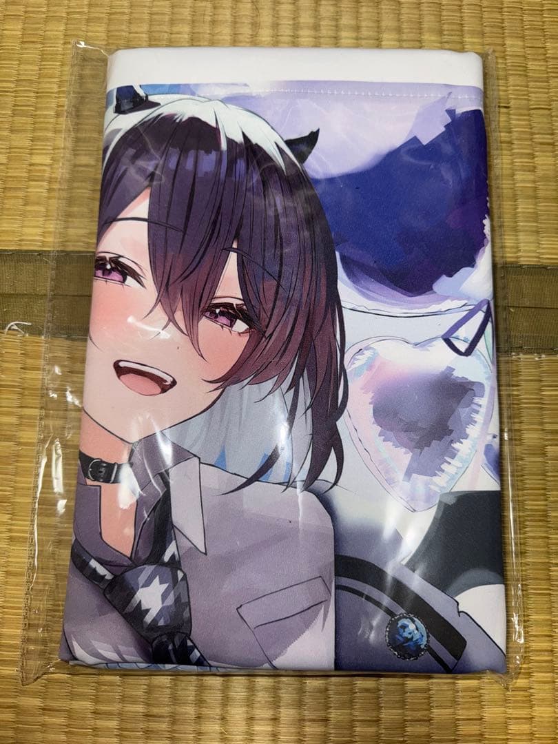 ぶいすぽっ！ 一ノ瀬うるは応援広告 クラウドファンディング タペストリー