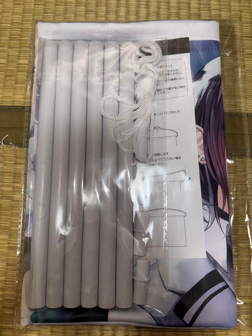 ぶいすぽっ！ 一ノ瀬うるは応援広告 クラウドファンディング タペストリー