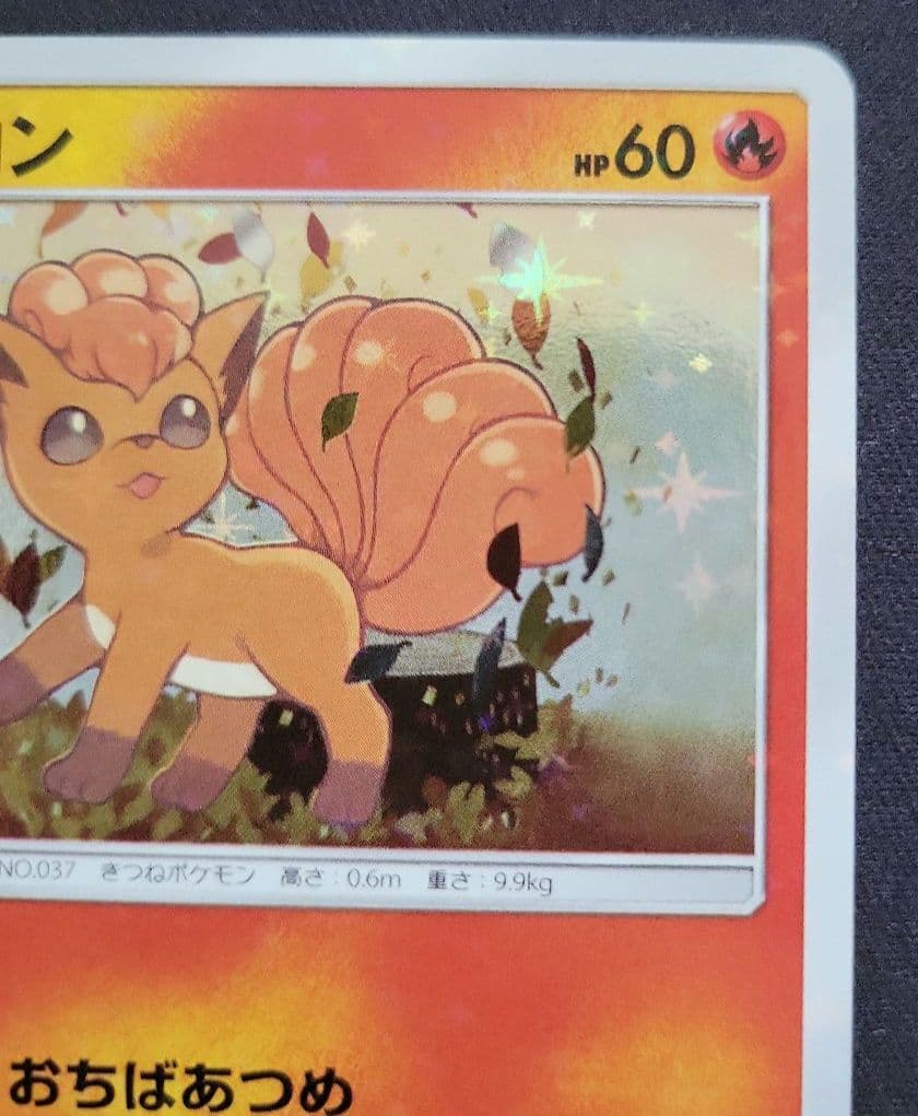 Rokon's Crystal Season スペシャルBOX 開封品　ポケカ