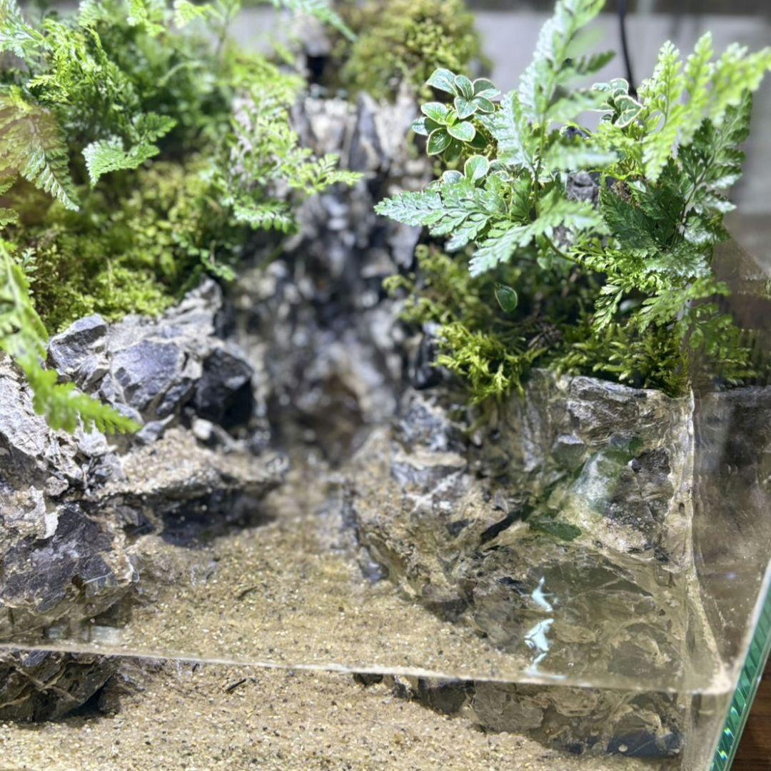 滝の流れるアクアテラリウム　No.1122