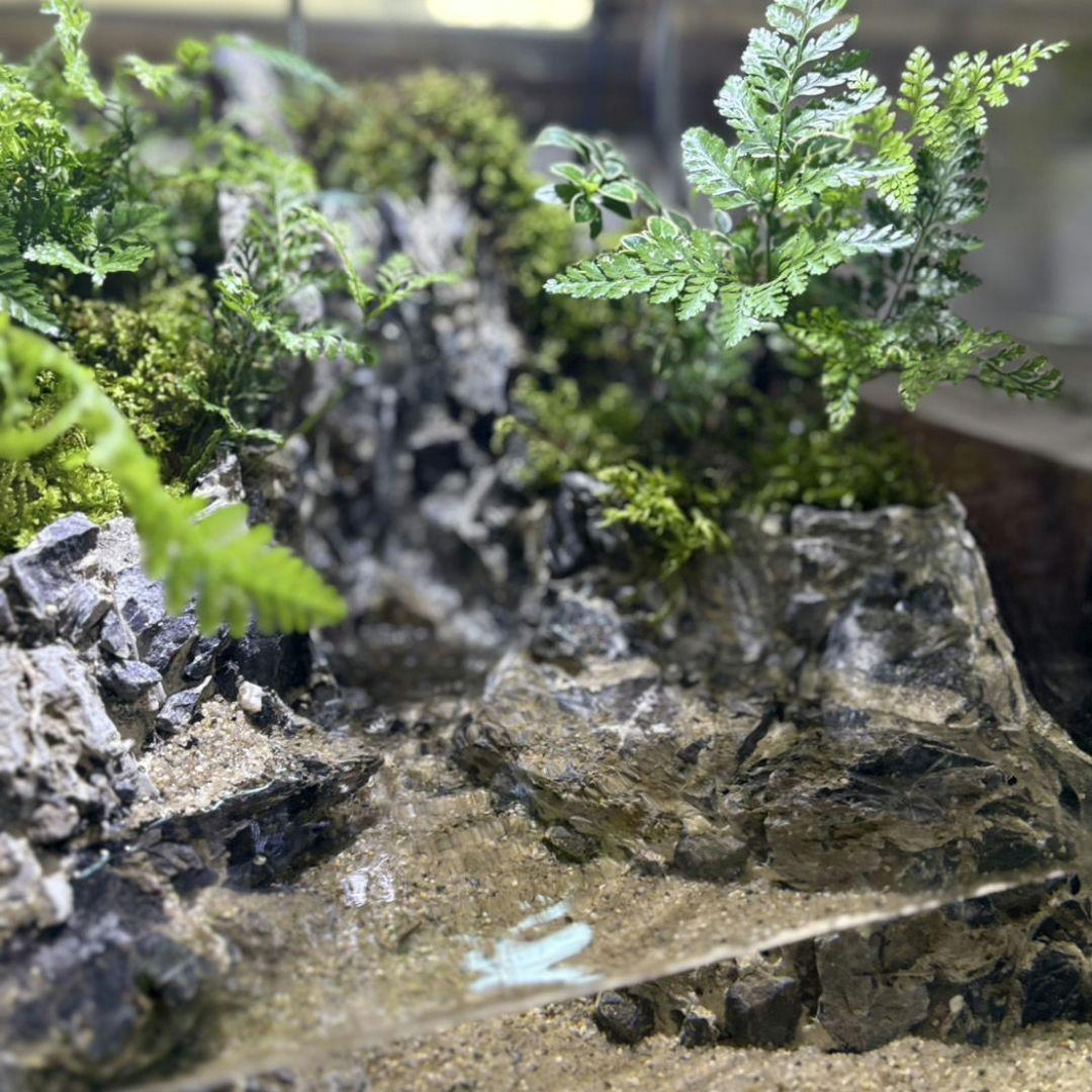 滝の流れるアクアテラリウム　No.1122