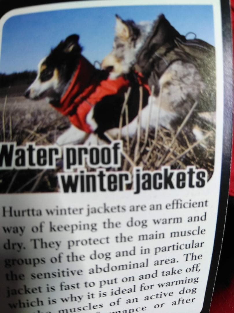 フルッタ ウィンタージャケット