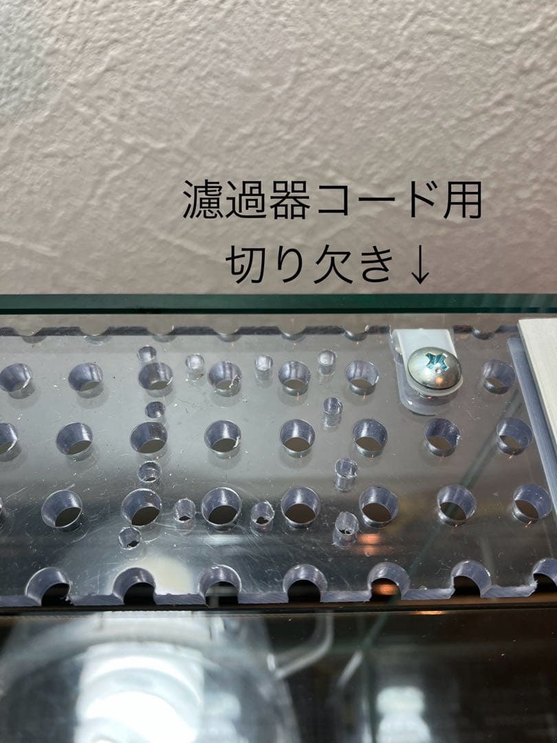 アクアサイダーのイモリウム テラリウム用30キューブ水槽