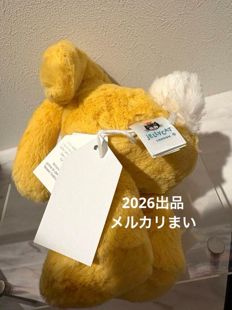  Little Bashful Sunshine Bunny 兎