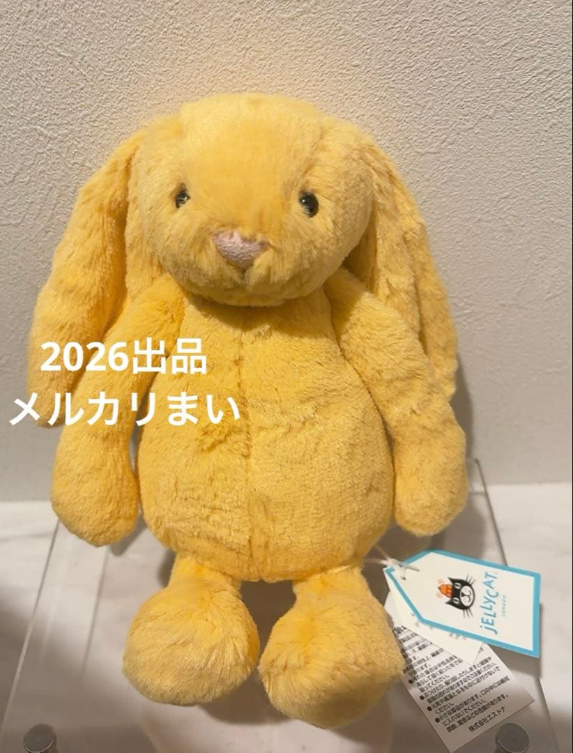  Little Bashful Sunshine Bunny 兎