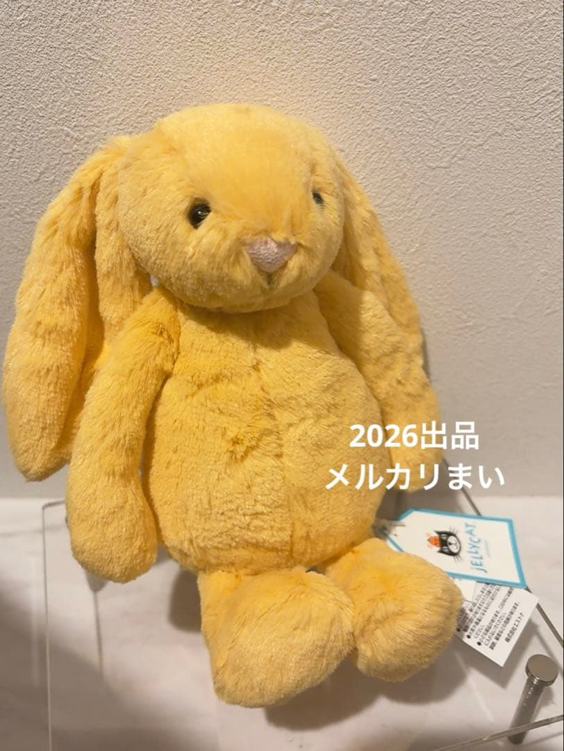  Little Bashful Sunshine Bunny 兎