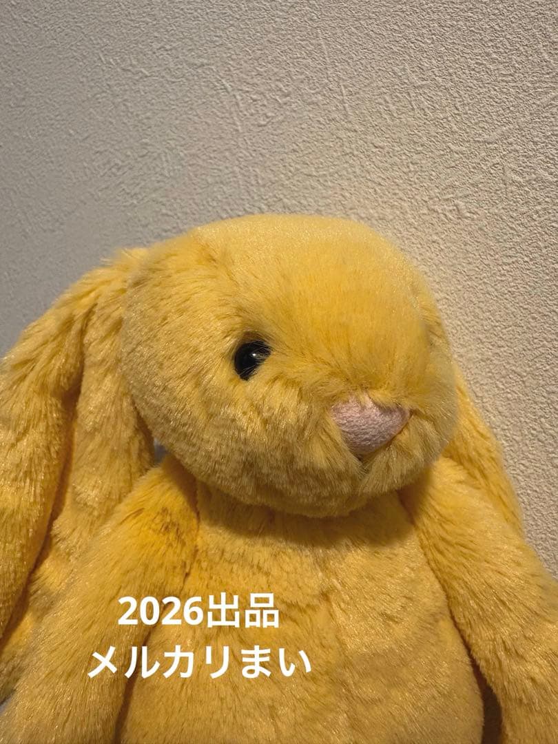  Little Bashful Sunshine Bunny 兎