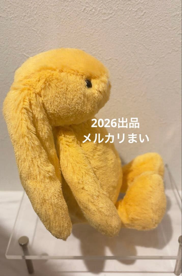  Little Bashful Sunshine Bunny 兎