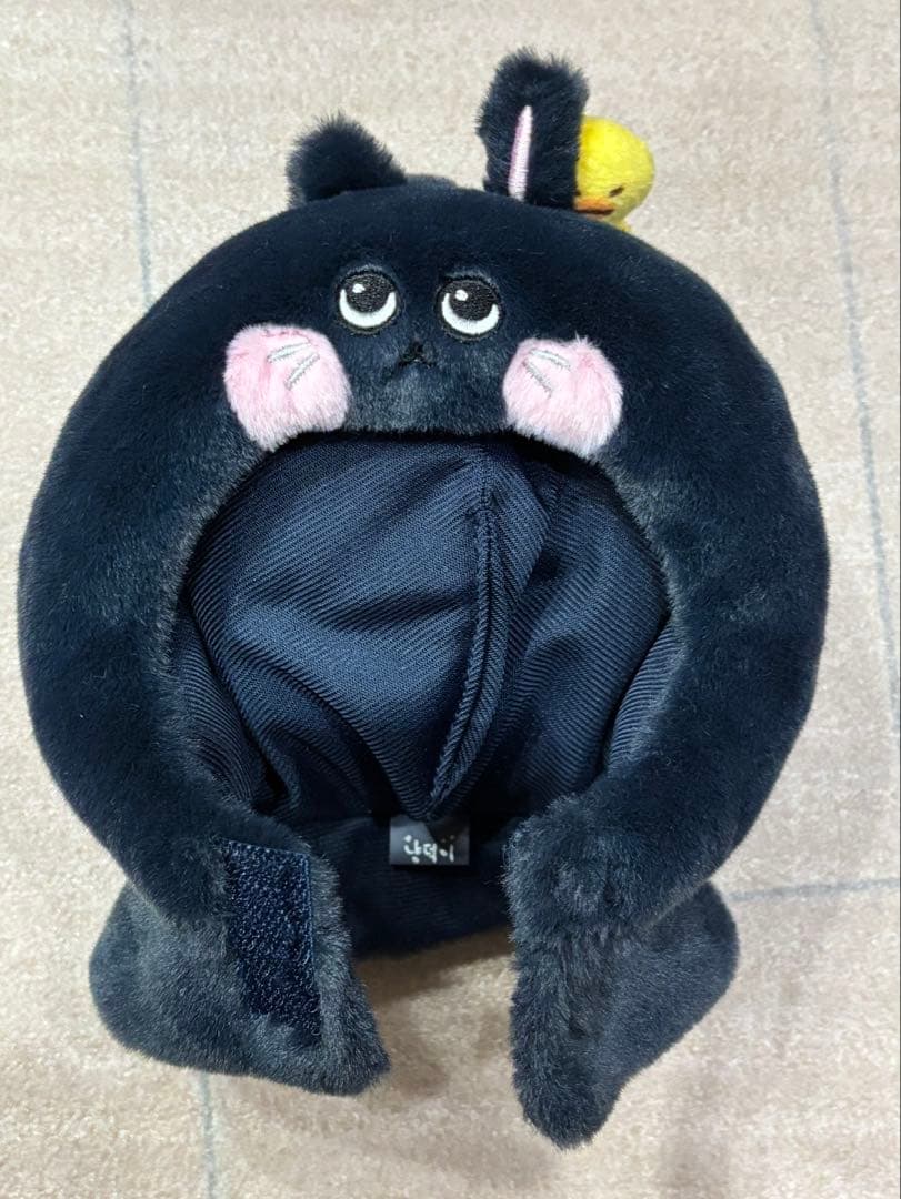 RIIZE ウォンビン トニャンドク