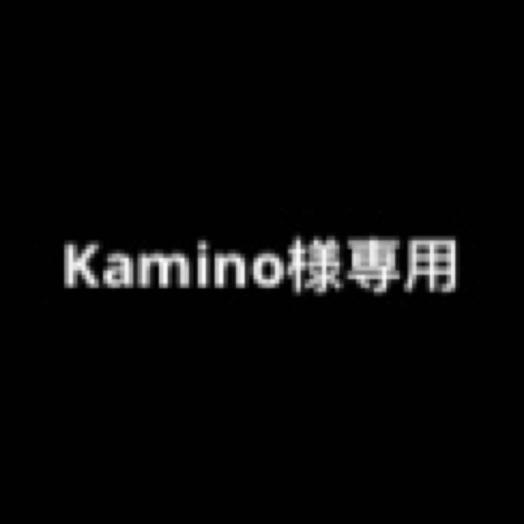 その他 Kamino