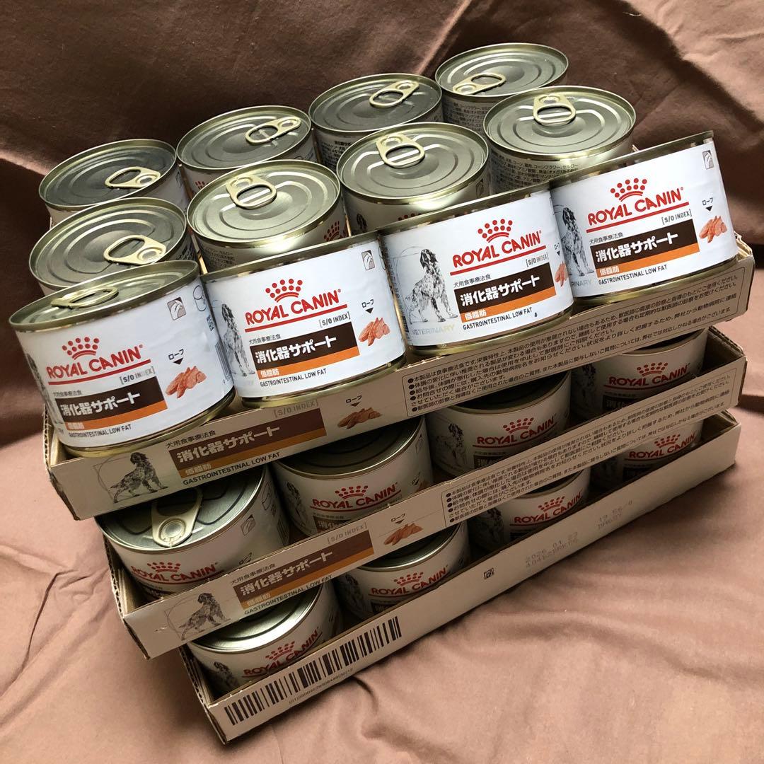  CANIN 消化器サポート 低脂肪 200g× 36缶