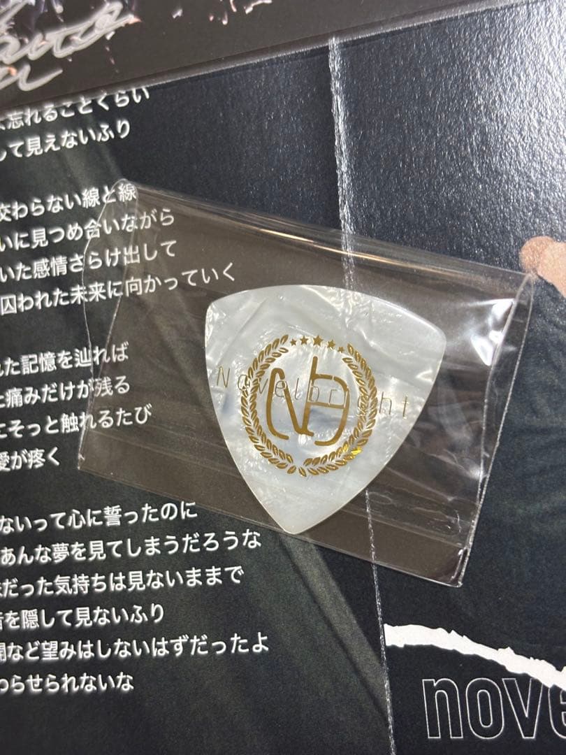 Novelbright サイン入りピック 缶バッジ グッズ 圭吾 海斗 ねぎ 聡