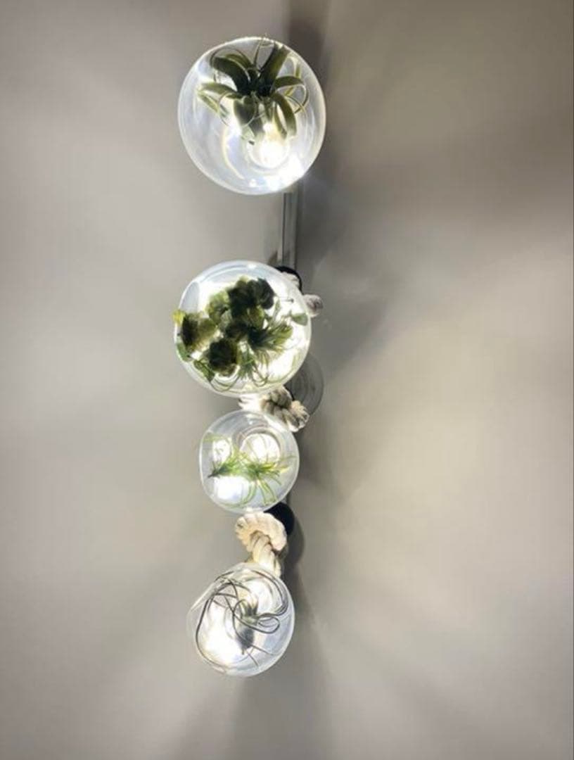 BOTANIC HANGING LIGHT ボタニックハンギングライト4個セット