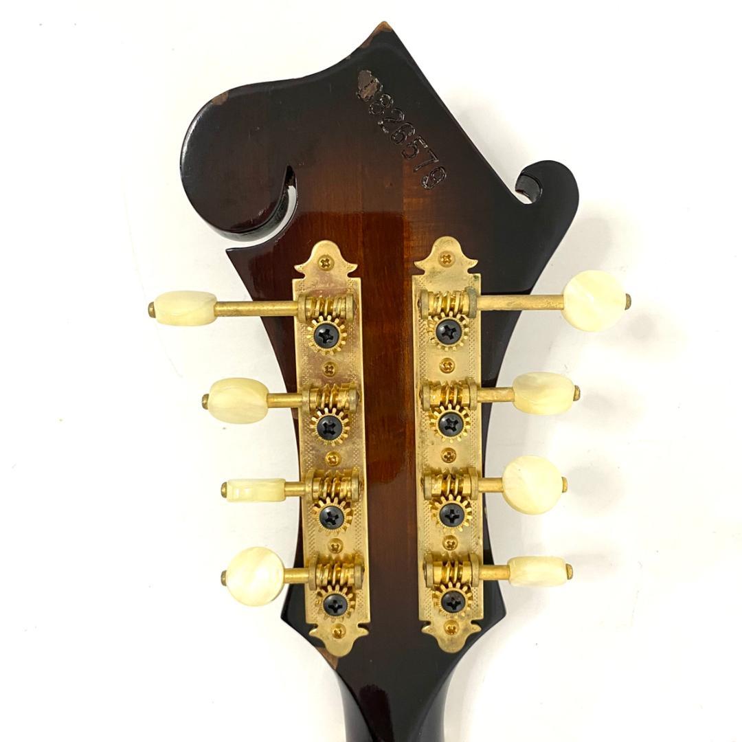 BLUEBELL ブルーベル F-12 フラットマンドリン