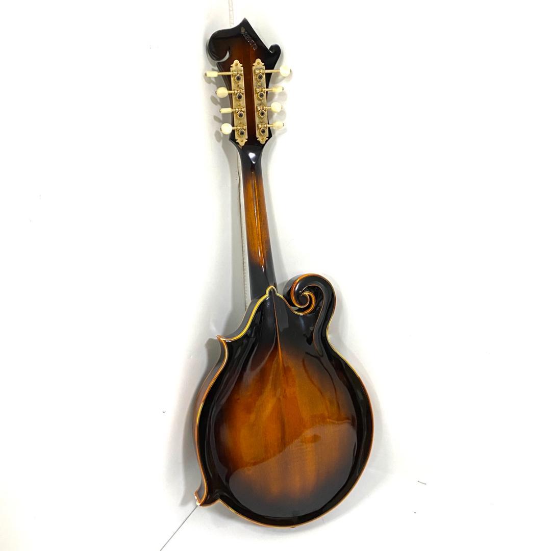 BLUEBELL ブルーベル F-12 フラットマンドリン