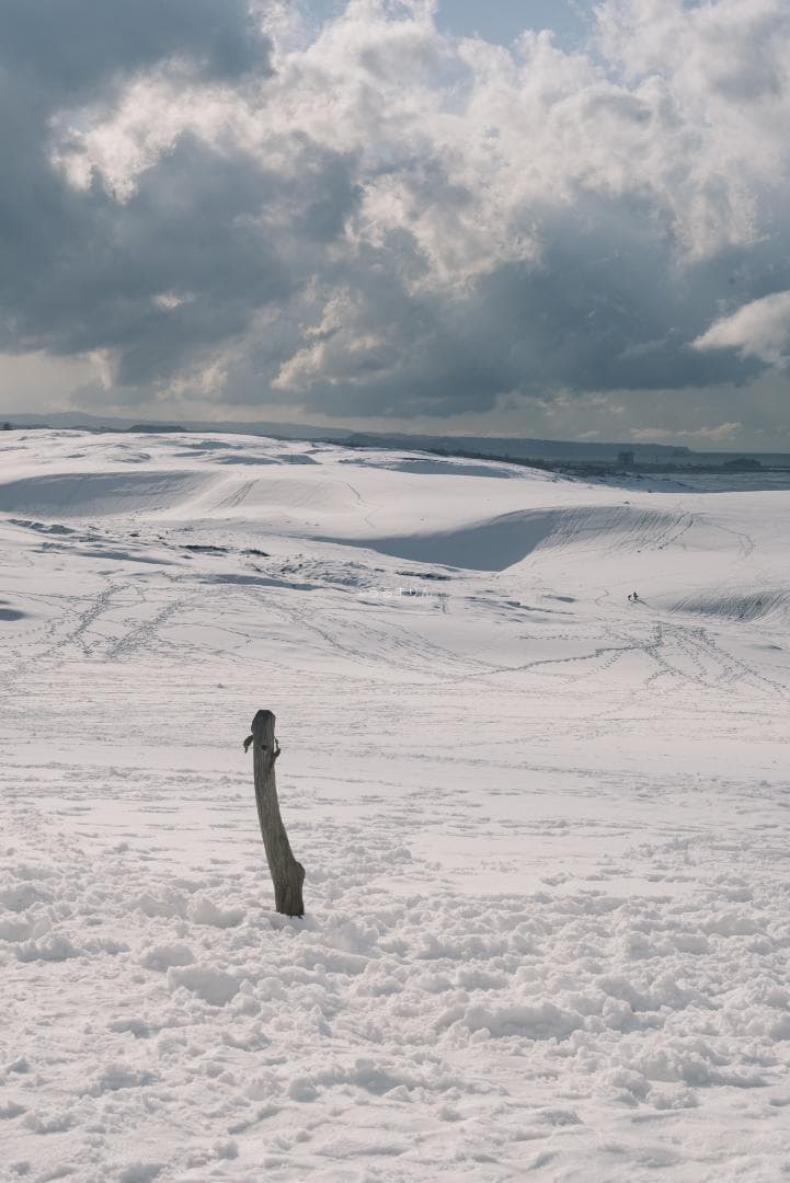 yu様　黄変なし光学美品！PENTAX Super-Takumar 55mm