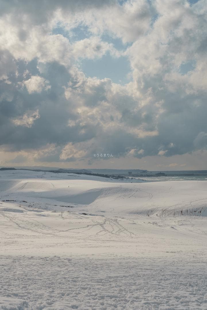 yu様　黄変なし光学美品！PENTAX Super-Takumar 55mm