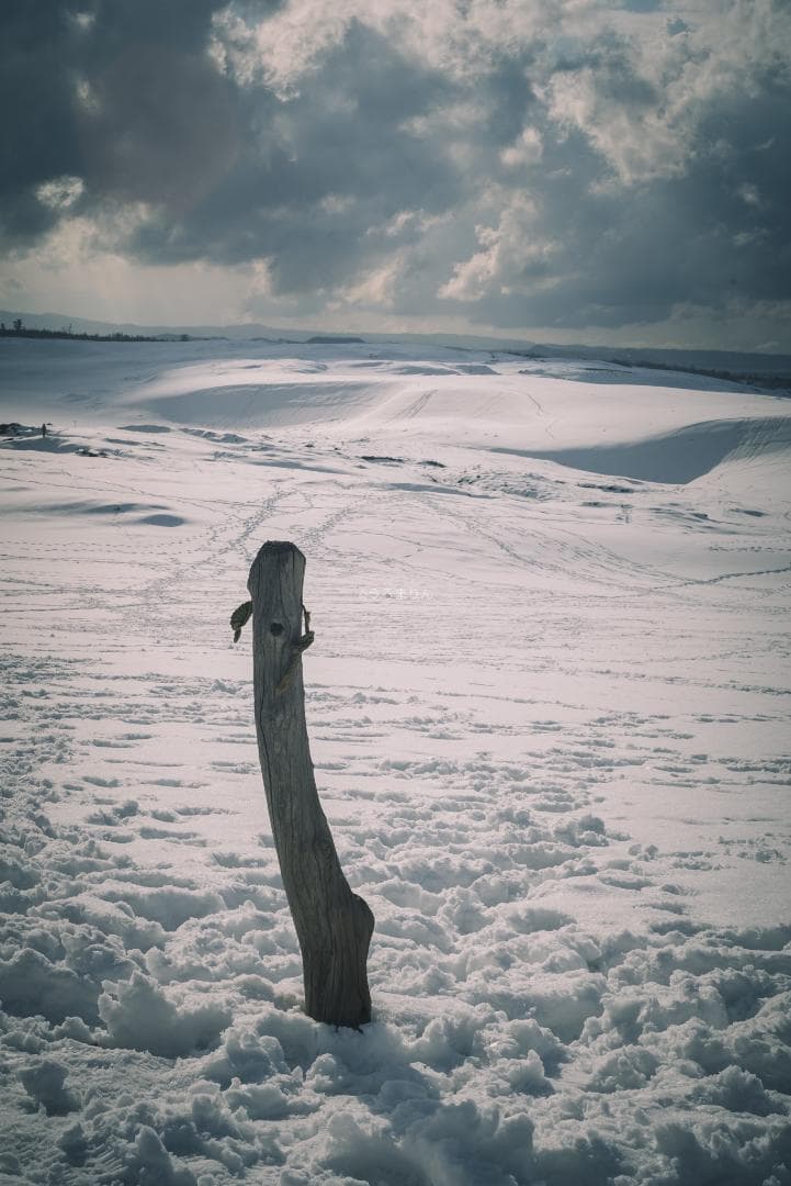 yu様　黄変なし光学美品！PENTAX Super-Takumar 55mm