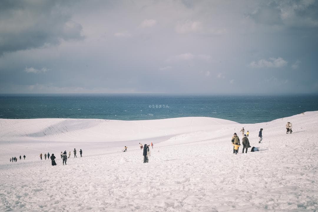 yu様　黄変なし光学美品！PENTAX Super-Takumar 55mm