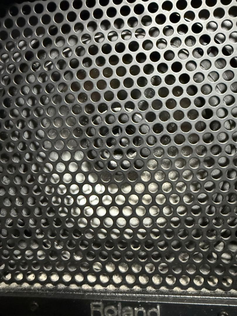 Roland CUBE CM-30 スピーカー