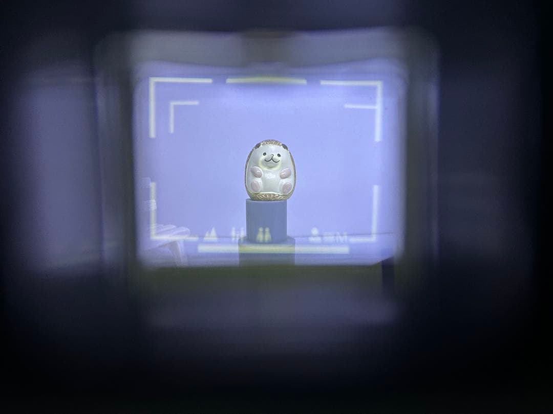 Nikon ニコン L35AD2 ピカイチ 動作品 コンパクトフィルムカメラ