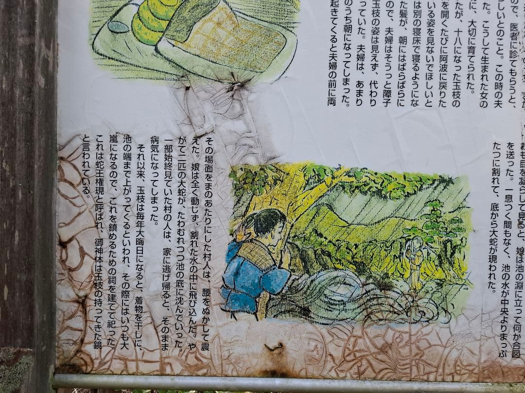 油絵　海老ヶ池　『えびがいけ 』昔話P50