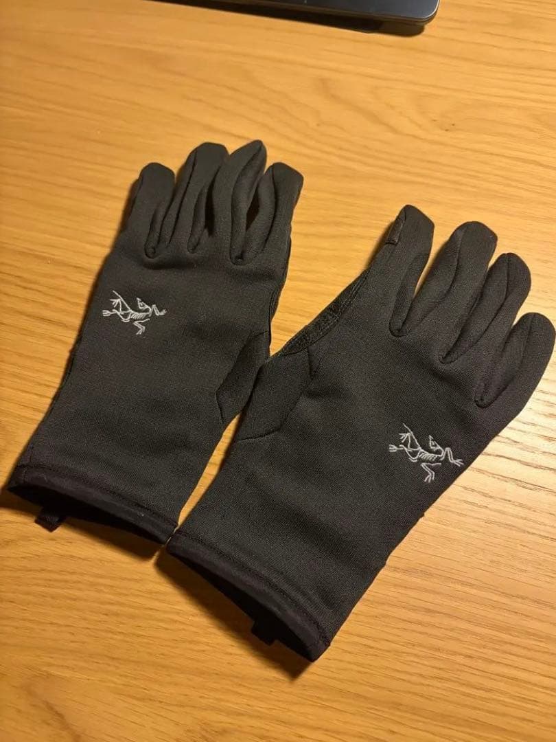 ARCTERYX アークテリクス Rivet Glove リベットグローブ