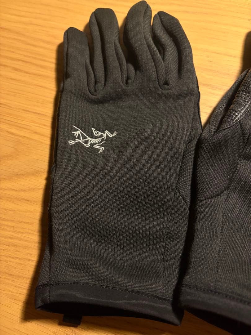 ARCTERYX アークテリクス Rivet Glove リベットグローブ