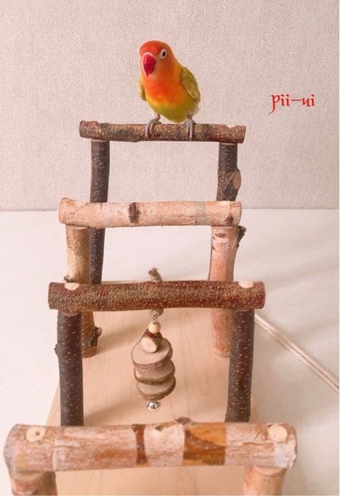 ピョンピョン5（ファイブ）☆2WAYおもちゃ付き♪