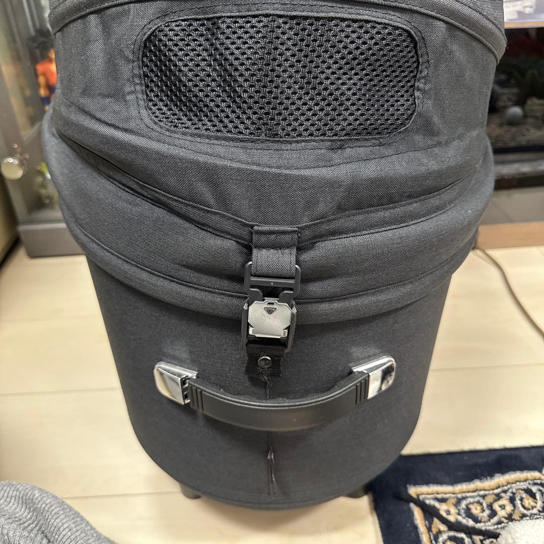 sasa 　AIR BUGGY ドーム3レギュラーコット（単品）