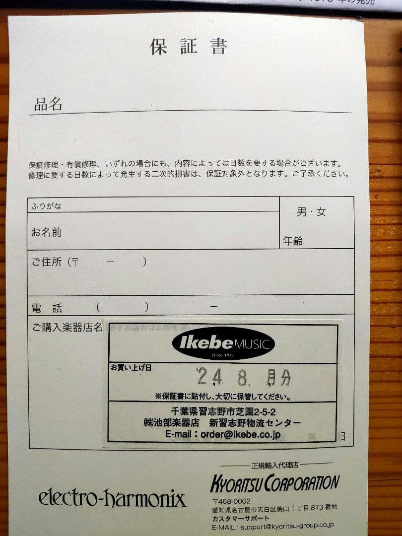 ギター electro-harmonix NANO DELUXE MEMORY MAN