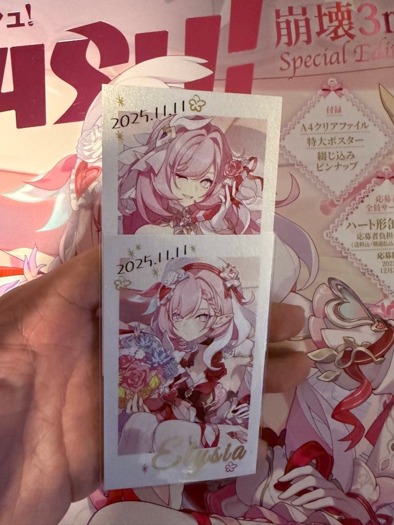 PASH!12月号 崩壊3rd エリシア 限定セット　アクリルパネル 名刺