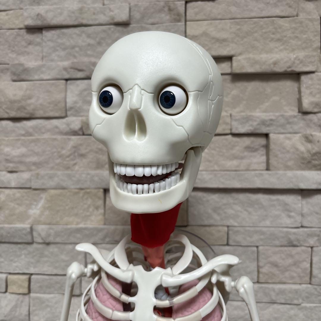 【美品】DEAGOSTINI おしゃべりガイコツ　ホネッキー