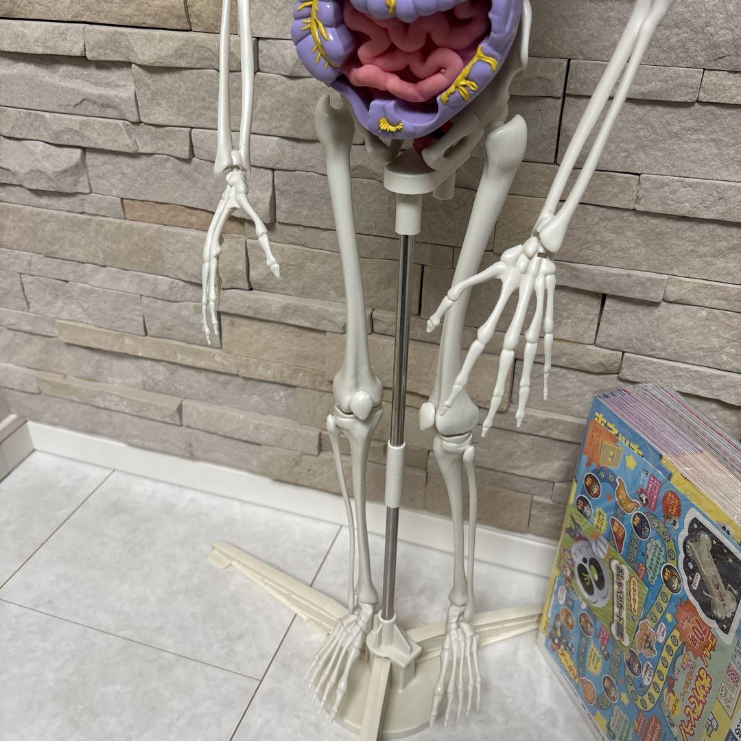 【美品】DEAGOSTINI おしゃべりガイコツ　ホネッキー