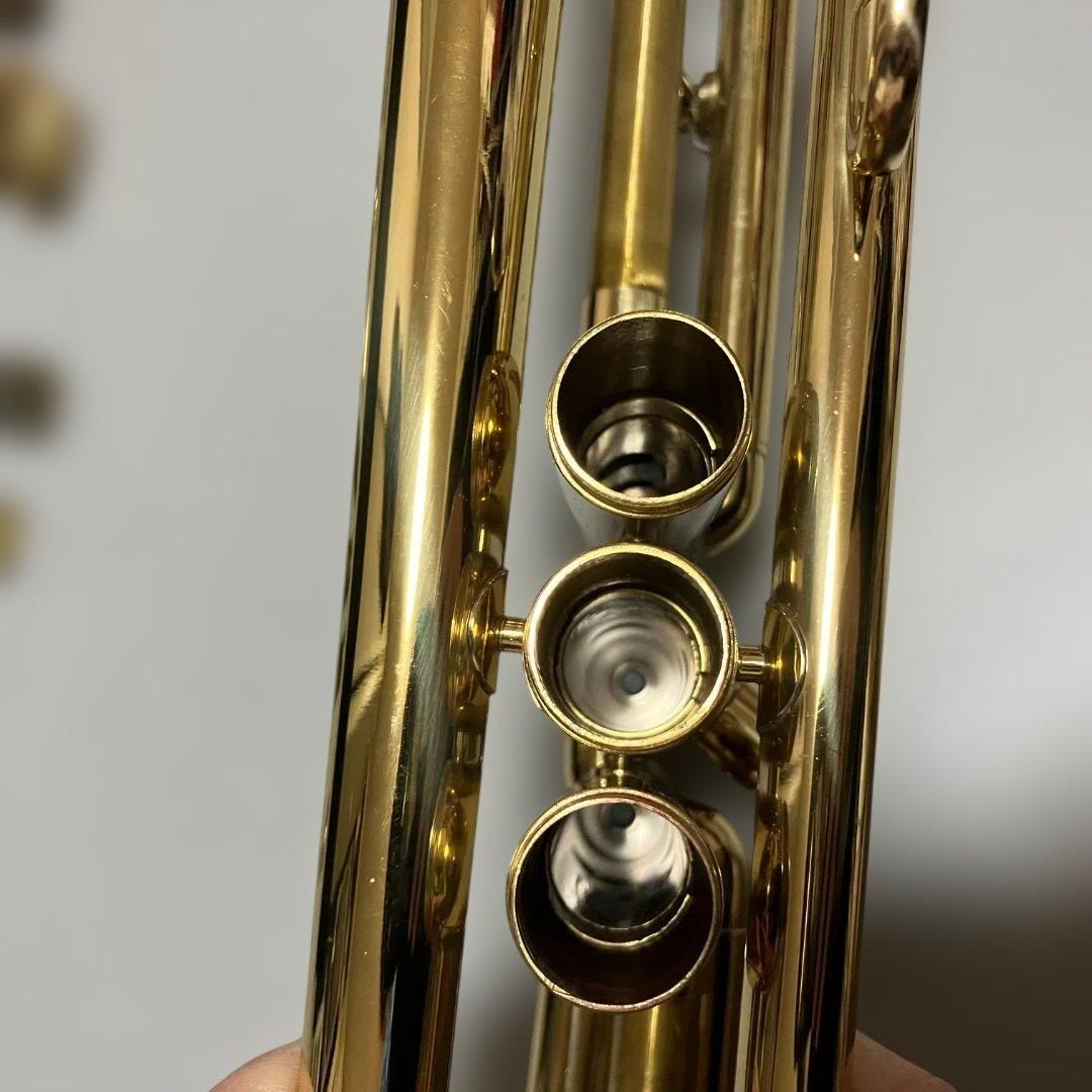 トランペット　本体　付属品　ケース　セット　ミュート付き　模様入り