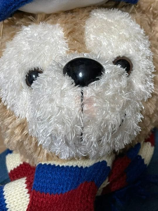 ダッフィー シェリーメイ 4点セット