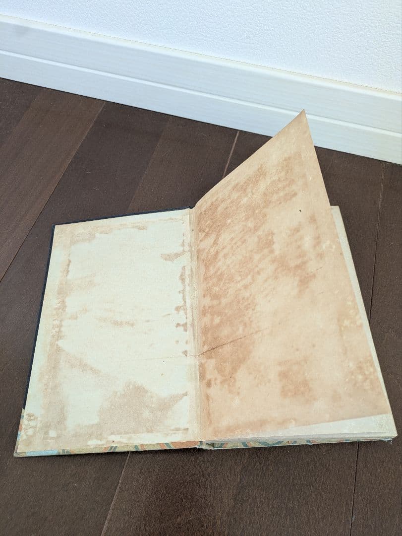 【希少本】初版　紅あざみ　大正３年　日比谷書院　東京堂　尾島菊子