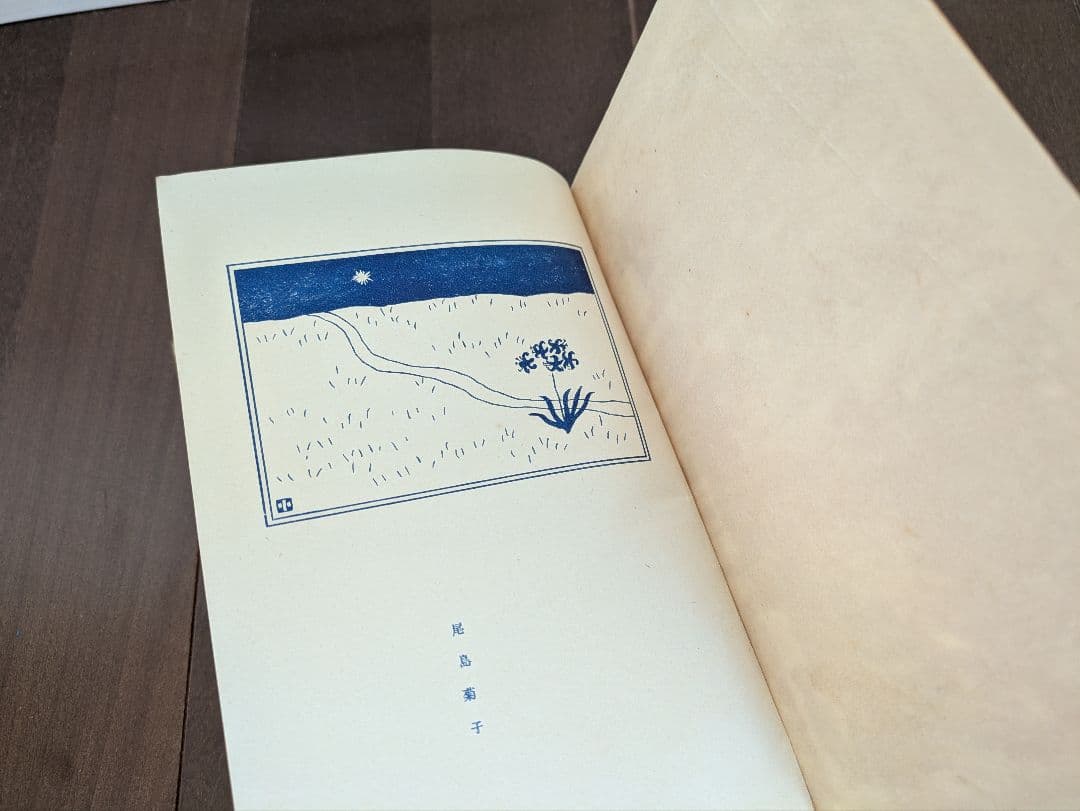 【希少本】初版　紅あざみ　大正３年　日比谷書院　東京堂　尾島菊子